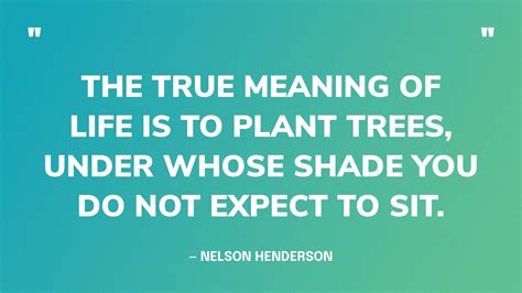pine trees quotes|The 77 Absolute Best Quotes About Trees .